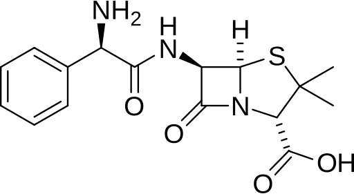 Ampicilin