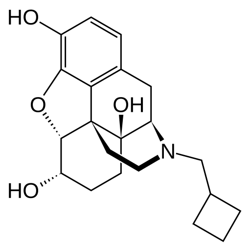 Nalbufin