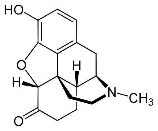 Hydromorfon
