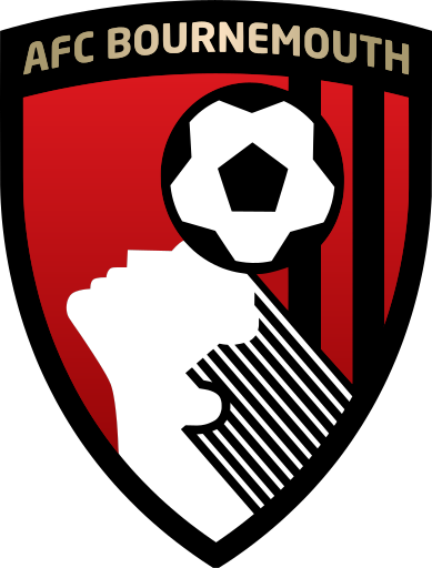 Bournemouth-obrazek