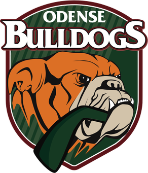 Odense-obrazek