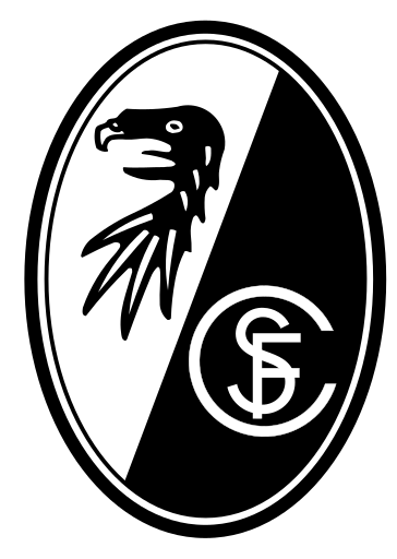 Freiburg-obrazek