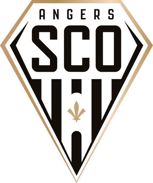 Angers-obrazek